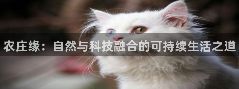 pg电子破解版苹果
