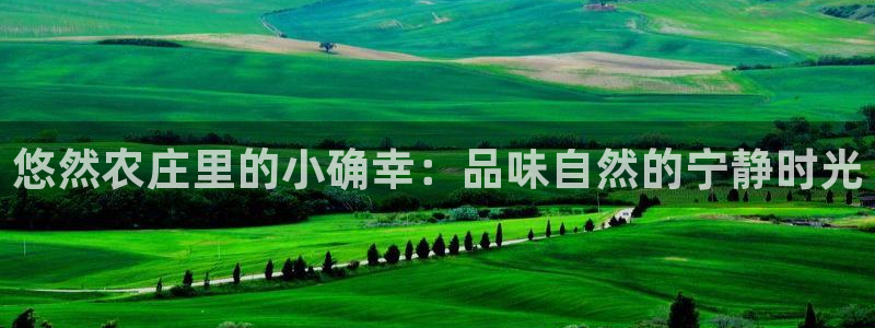 pg电子注册官网