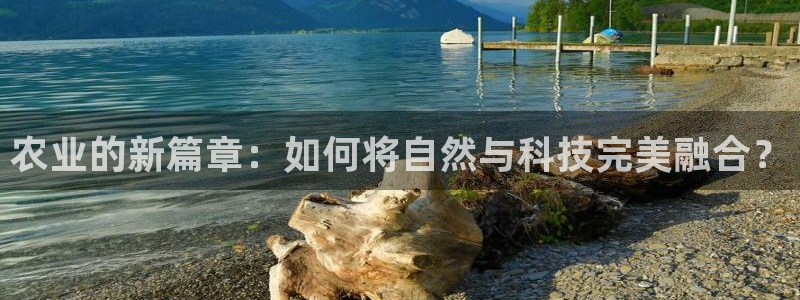 pg电子体验金模式