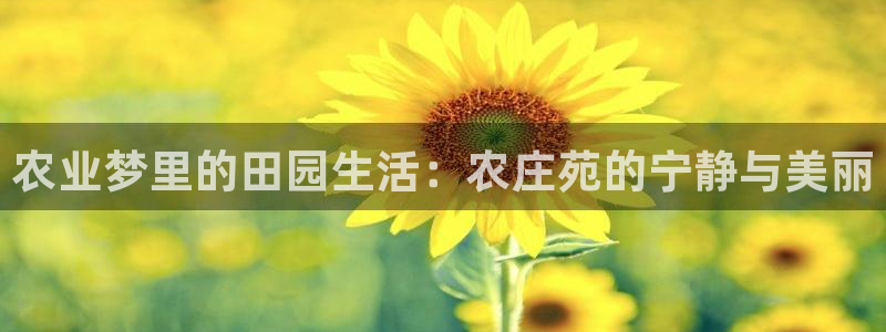 pg电子赏金女王技巧
