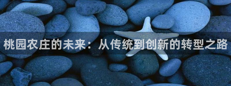 pg电子最高爆分视频