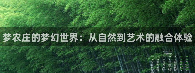 pg电子怎么赚钱