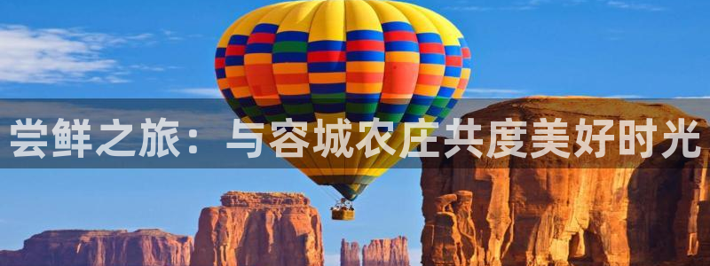 pg电子官方网站