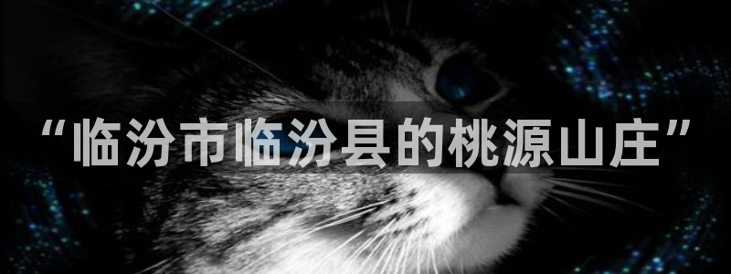 pg电子什么游戏好打