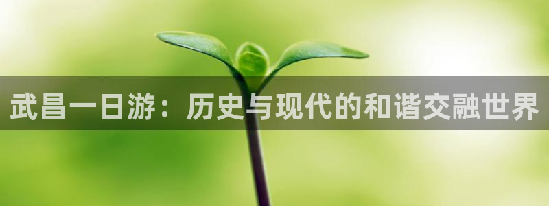 pg电子游戏火树赢花