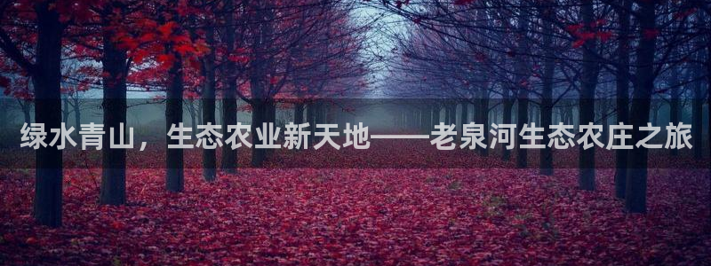 玩pg电子犯法吗