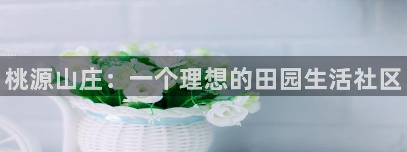 PG电子少林足球规则