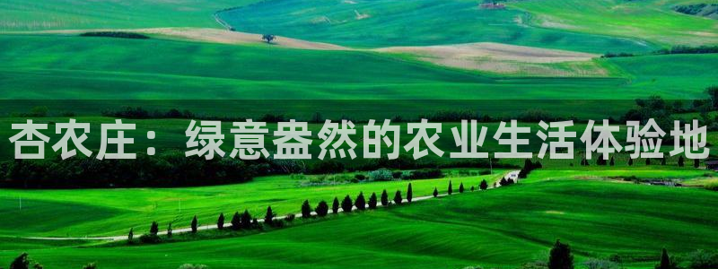 pg电子app开元