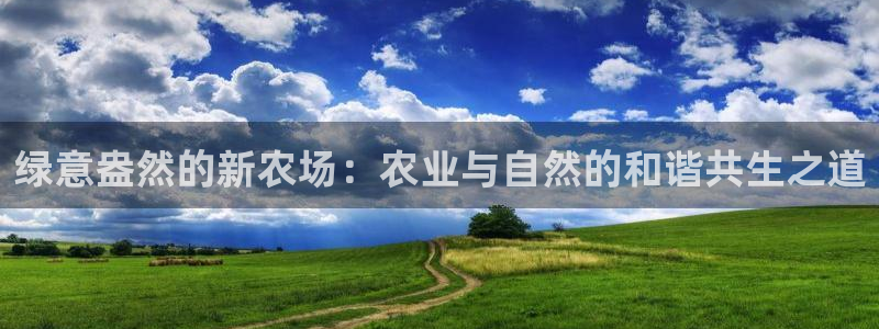 PG电子游戏入口
