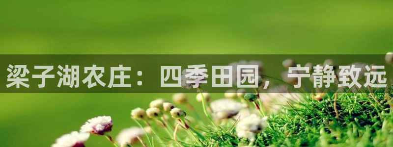 pg电子最新网站入口