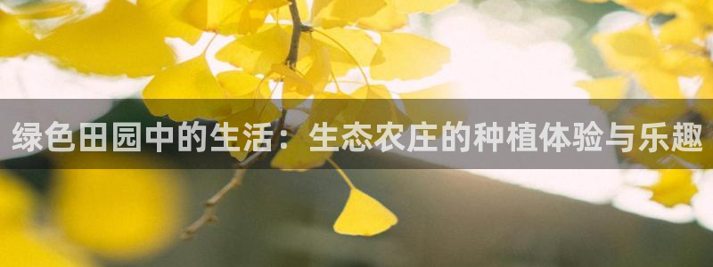 pg电子游戏所有平台