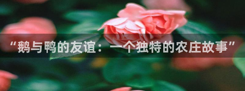 pg电子游戏官网