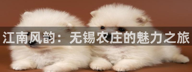 pg电子一直不爆分