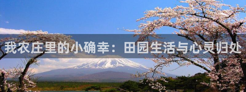 网赌PG电子怎么控制的