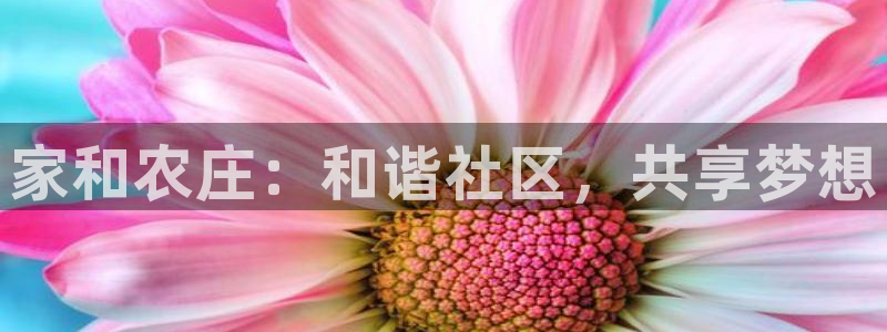 电子游戏PG新国碎