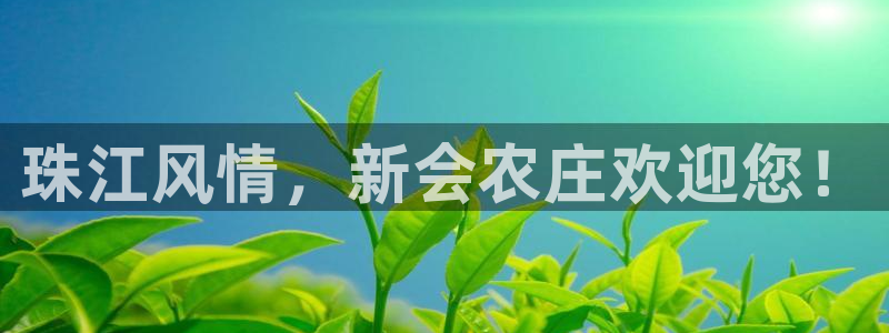 pg电子最新爆分视频