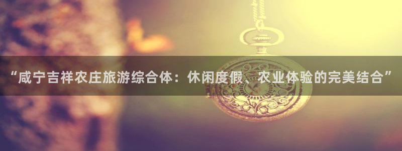 pg雪崩 电子说明书
