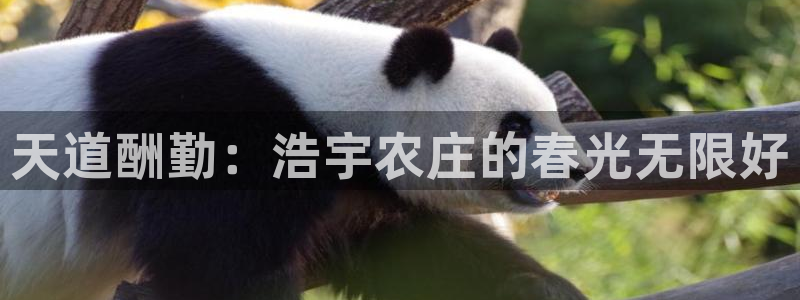 网上电子pg维护中