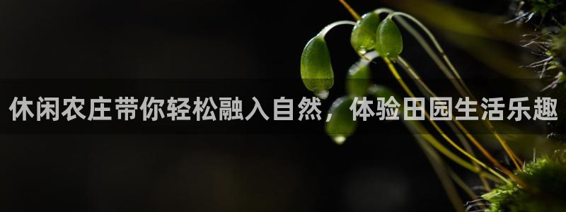 打pg电子后期一直输