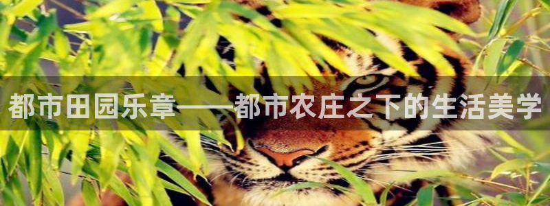 pg电子溏心风暴视频