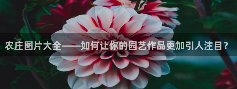 pg电子爆奖平台