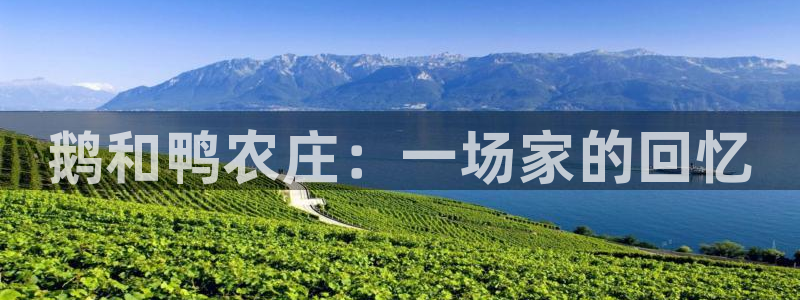 pg电子游戏试玩网
