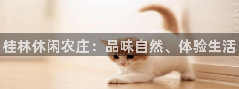 PG电子游戏怎么卡免费