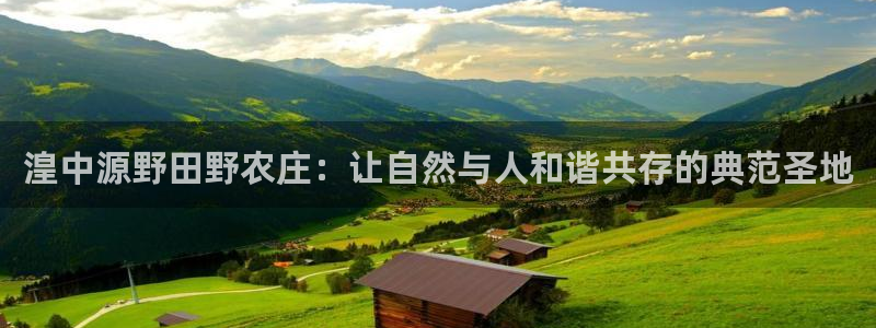 电子游戏PG压大