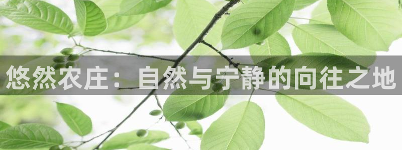 pg电子中大奖视频国外