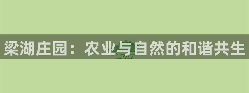 pg电子美洲野牛视频
