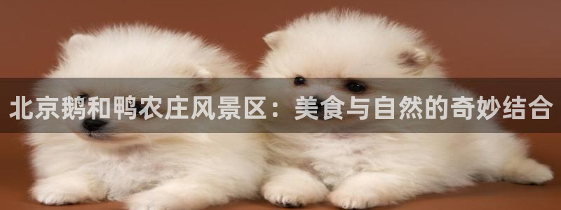 pg电子双喜临门爆分