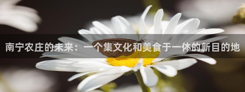 PG电子游戏怎么卡免费
