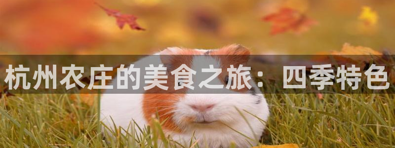 pg电子平台网站