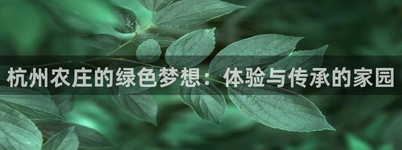 电子鼓pg怎么样