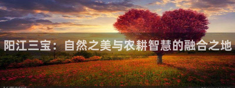 pg电子游戏象财神视频