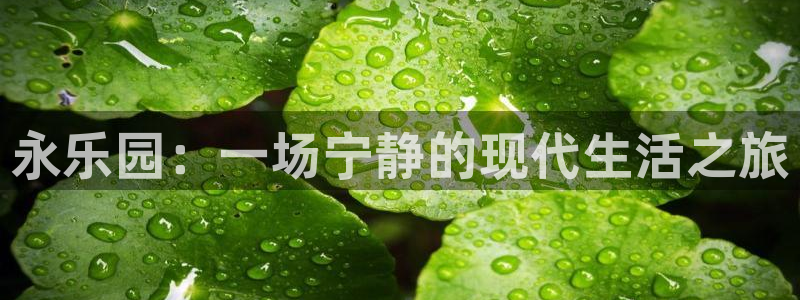 PG电子官网98db