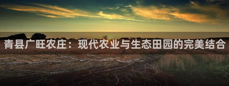少林足球pg电子