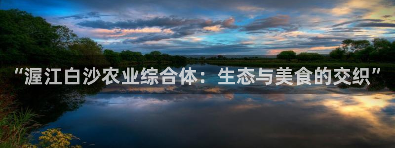 pg电子怎么能赢