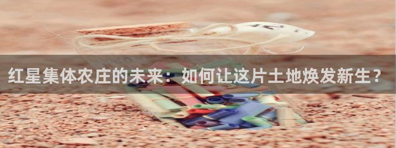 pg电子寻宝黄金城网址是什么
