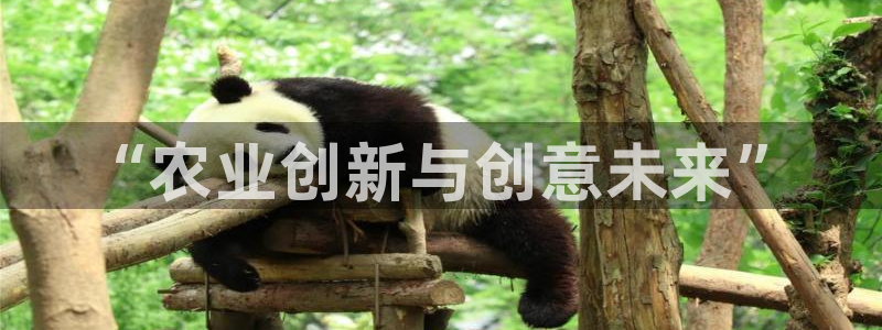 pg电子吃分爆分时间