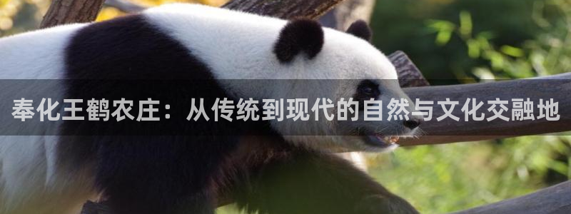 PG电子官方首页