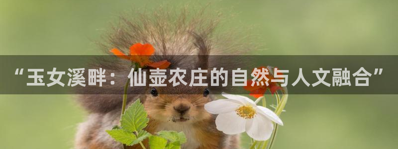 pg电子哪个更容易出奖