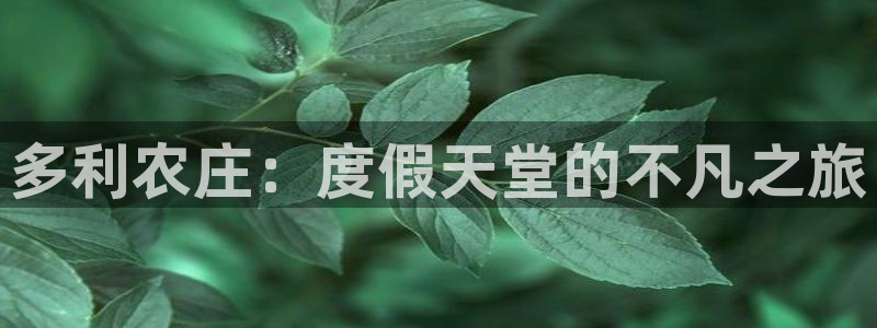 pg电子娱乐单机