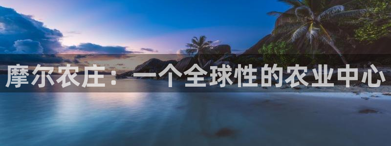 pg电子千赢国际