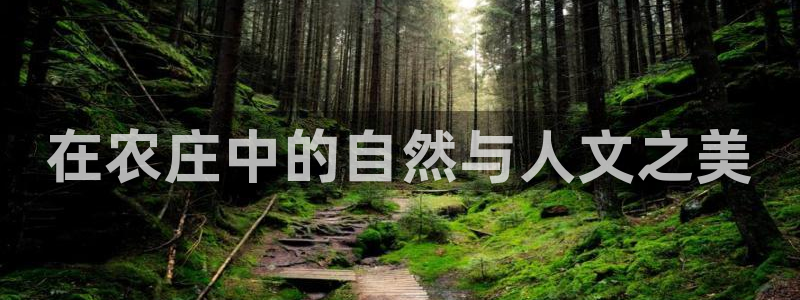 pg电子赏金船长技巧