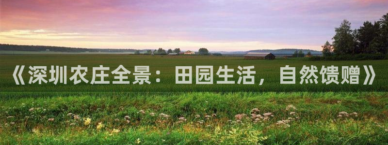 pg电子是真恶心