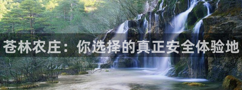 pg电子哪个平台靠谱