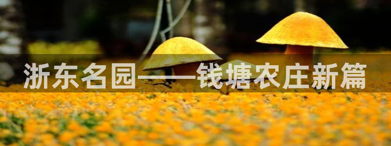 pg电子官方下载