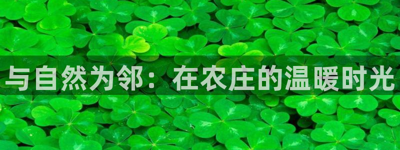 pg电子高爆率玩法