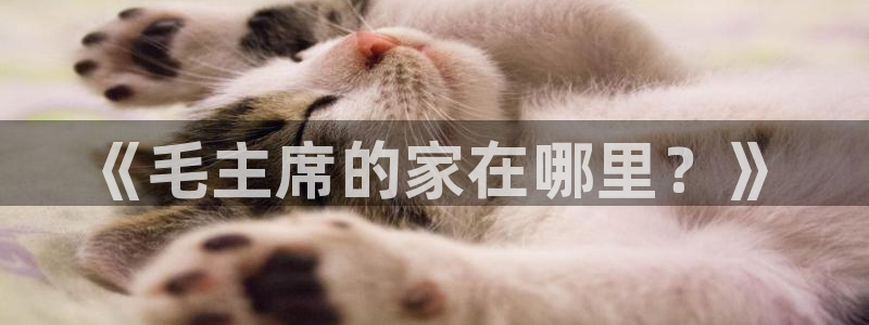 pg电子技巧攻略